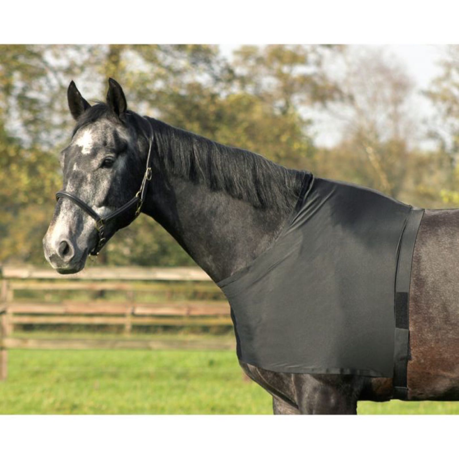 Zs9wEOBkATCEHFl-HAu_i6FuhdM